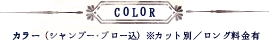 COLOR　カラー（シャンプー・ブロー込み）
