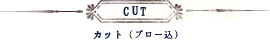 CUT　カット（ブロー込み）